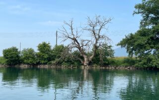 bildungspark_dagmersellen_teamausflug ceruniq_landschaft